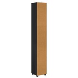 vidaXL Badkamerkast met Plank - Zwart - 35% Korting