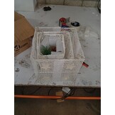 vidaXL Kerstdecoratie Geschenkdozen Wit - 3 stuks - 55% Korting