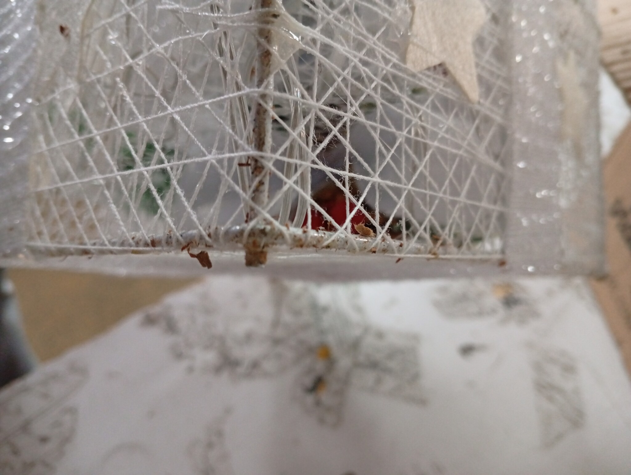 vidaXL Kerstdecoratie Geschenkdozen Wit - 3 stuks - 55% Korting