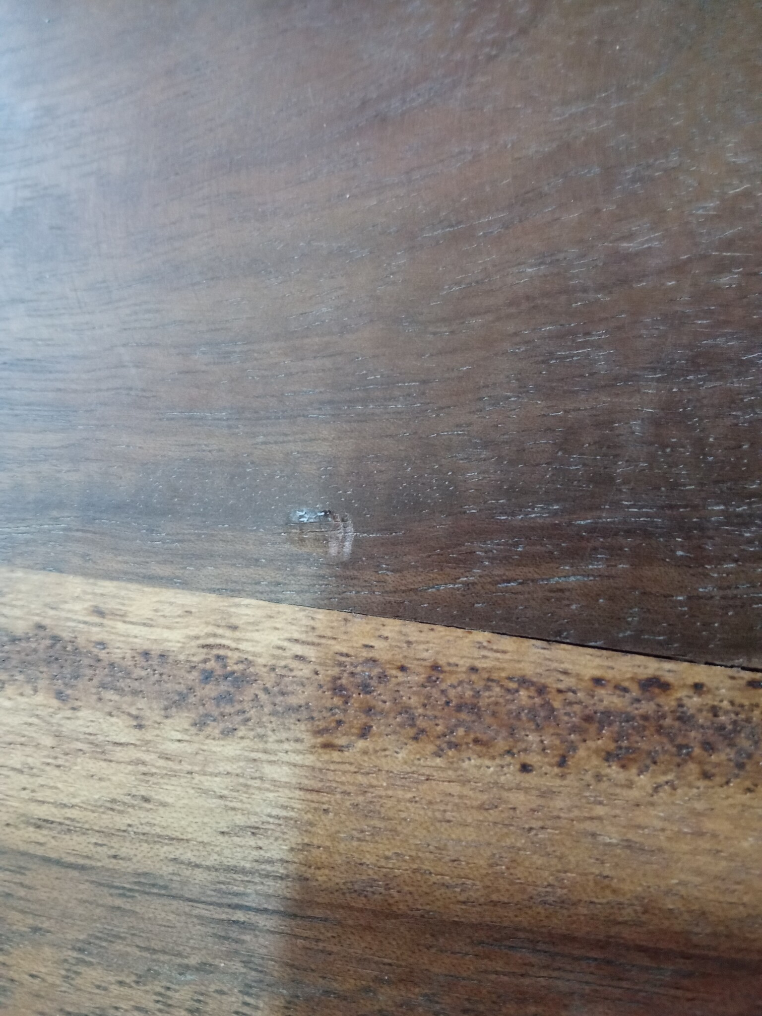 vidaXL TV meubel 140cm Sheeshamhout | +55% Korting