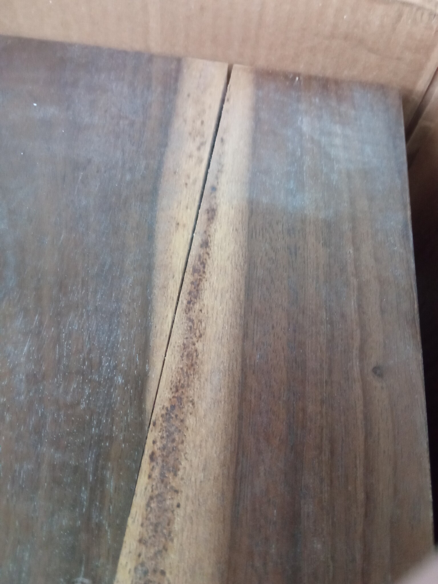 vidaXL TV meubel 140cm Sheeshamhout | +55% Korting