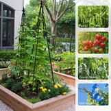 Set van 4 Obelisk Plantenrekken - 42% Korting!