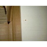 vidaXL Dressoir Grenenhout Wit - 64% Korting!