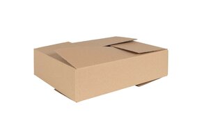 vidaXL Vouwdoos 50 stuks Bruin - 67% Korting! 40x30x10 cm Karton