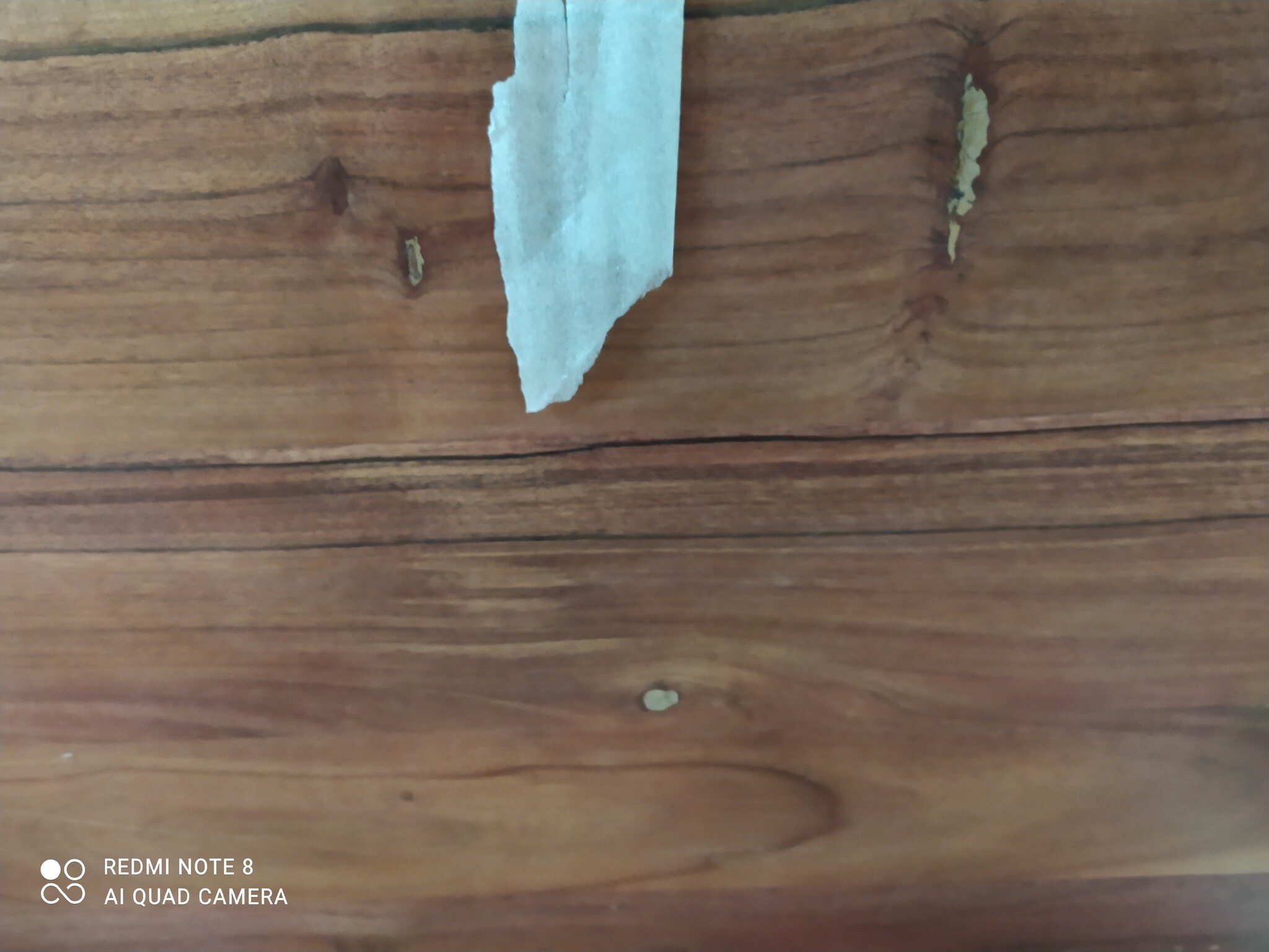 VidaXL Wastafelblad Massief Acaciahout 90x60cm - 70% Korting!