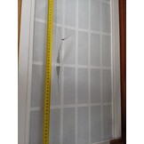 vidaXL Kamerscherm Paulowniahout Wit - 76% Korting