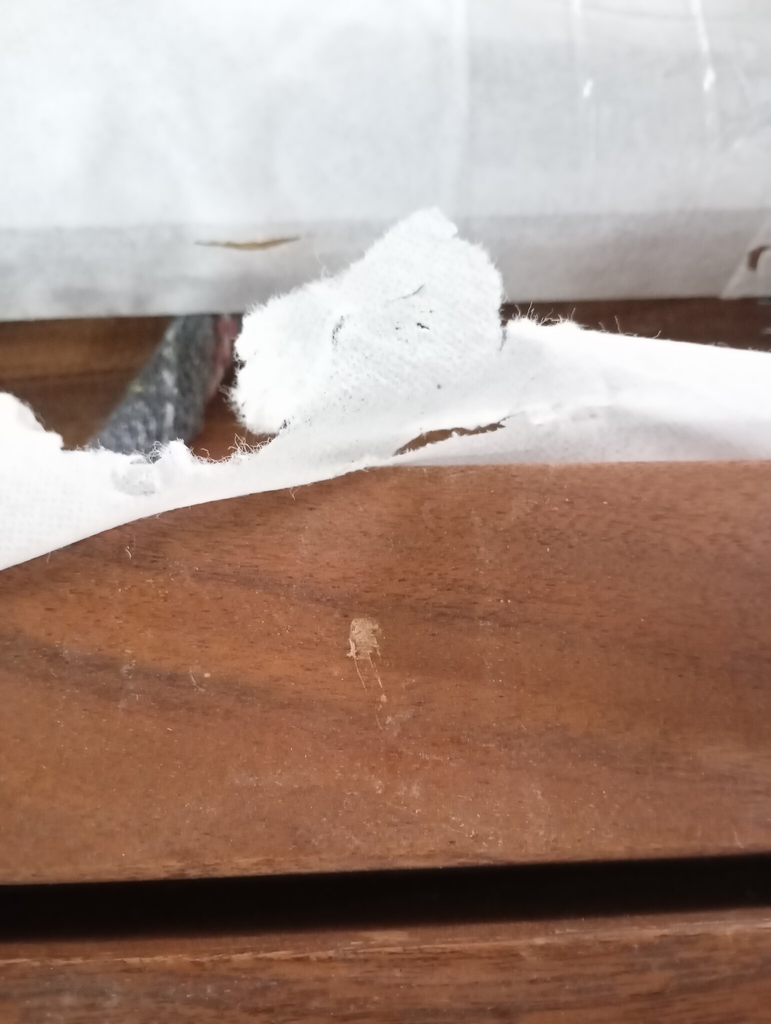 vidaXL Eettafel Massief Acaciahout - 55% Korting!