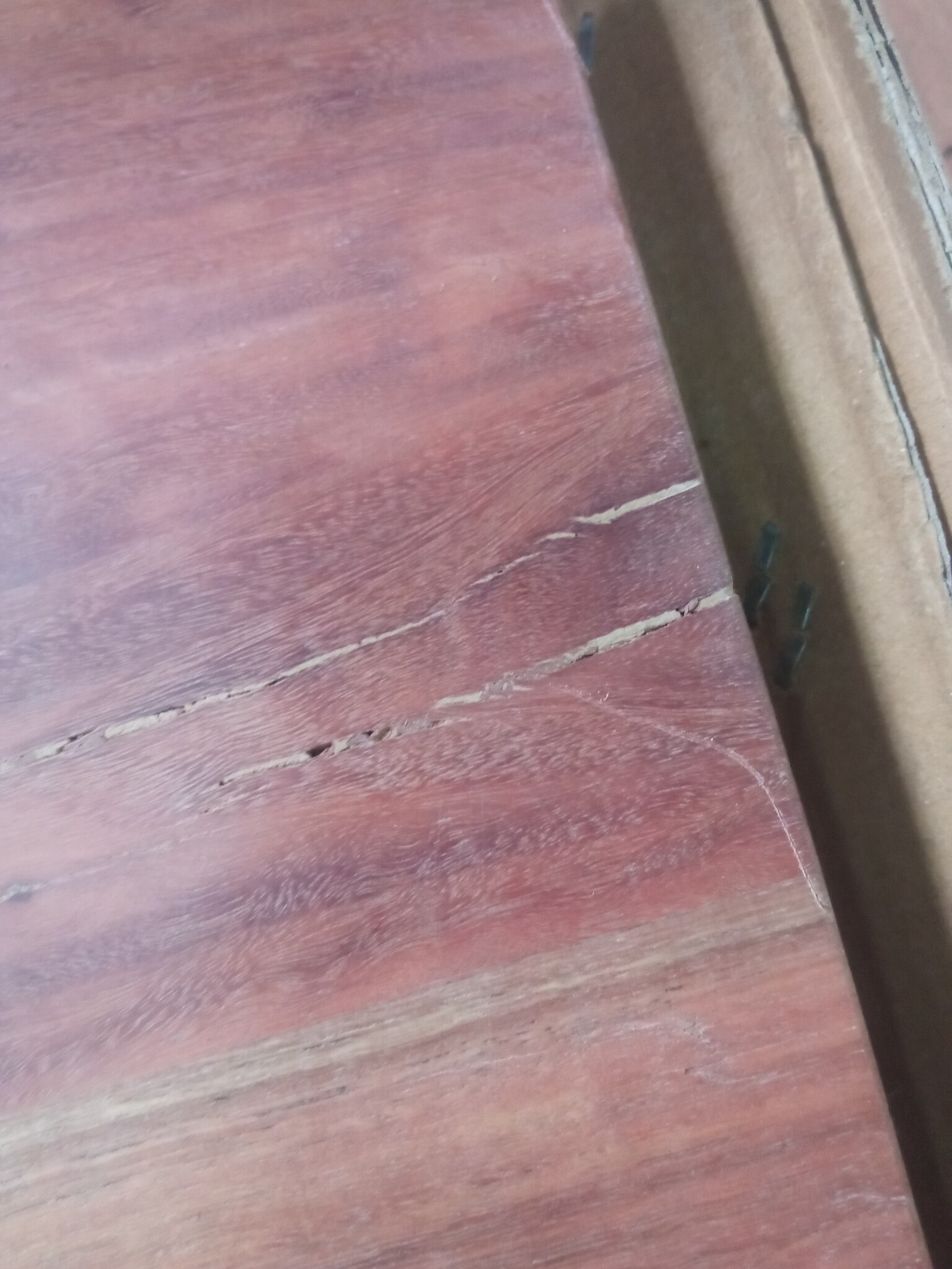 vidaXL Wandschap Acaciahout Natuurlijke Rand 160x20cm - 55% Korting!