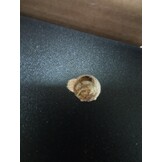 vidaXL Badkamerkast Zwart 30x30x183,5 cm | 55% Korting