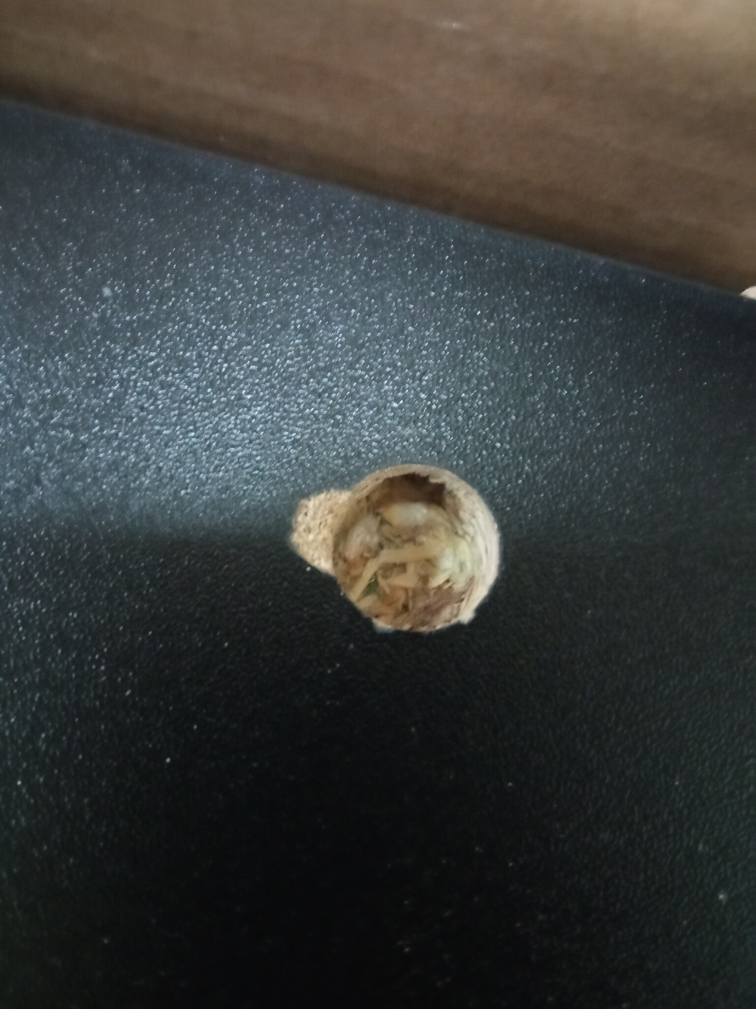 vidaXL Badkamerkast Zwart 30x30x183,5 cm | 55% Korting