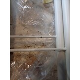 vidaXL Bedframe Metaal Wit 160x200 cm - 60% Korting!