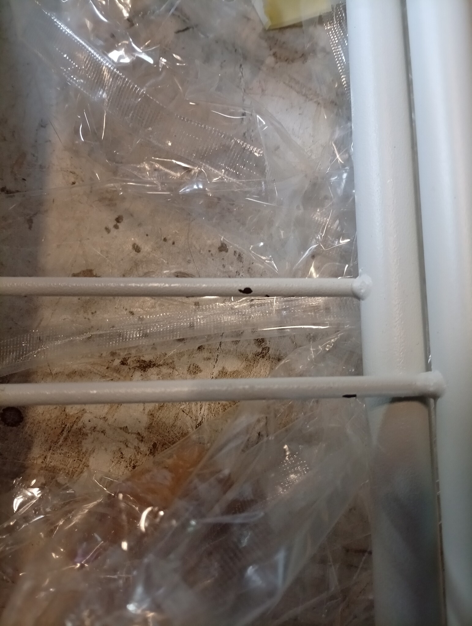 vidaXL Bedframe Metaal Wit 160x200 cm - 60% Korting!