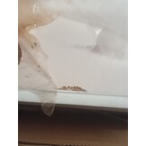 vidaXL Badkamerkast Wit - 55% Korting!