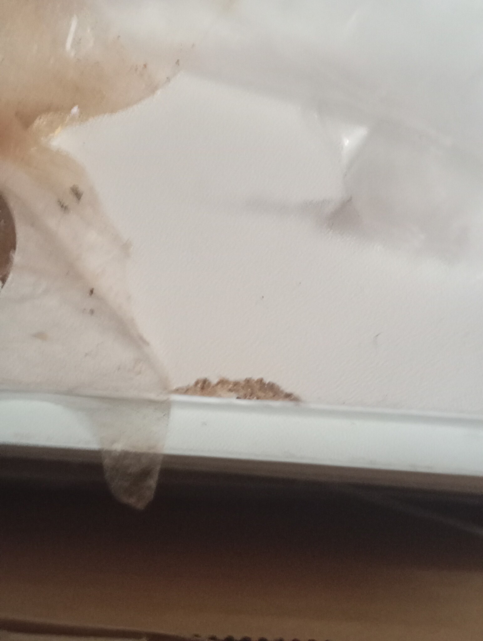 vidaXL Badkamerkast Wit - 55% Korting!