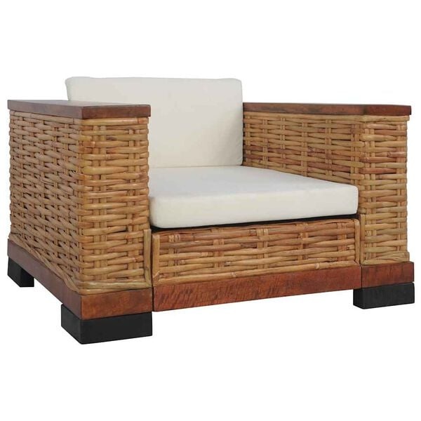 vidaXL Fauteuil Rattan Bruin - 30% Korting