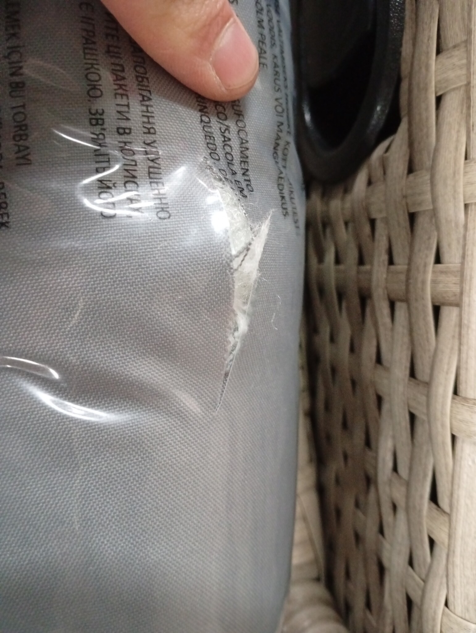 vidaXL Tuinstoelen 2 st verstelbaar kussens poly rattan gemengd beige