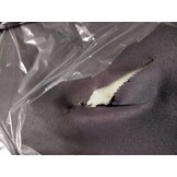 VidaXL Tuinstoelen 4 st. Zwart - 55% Korting!