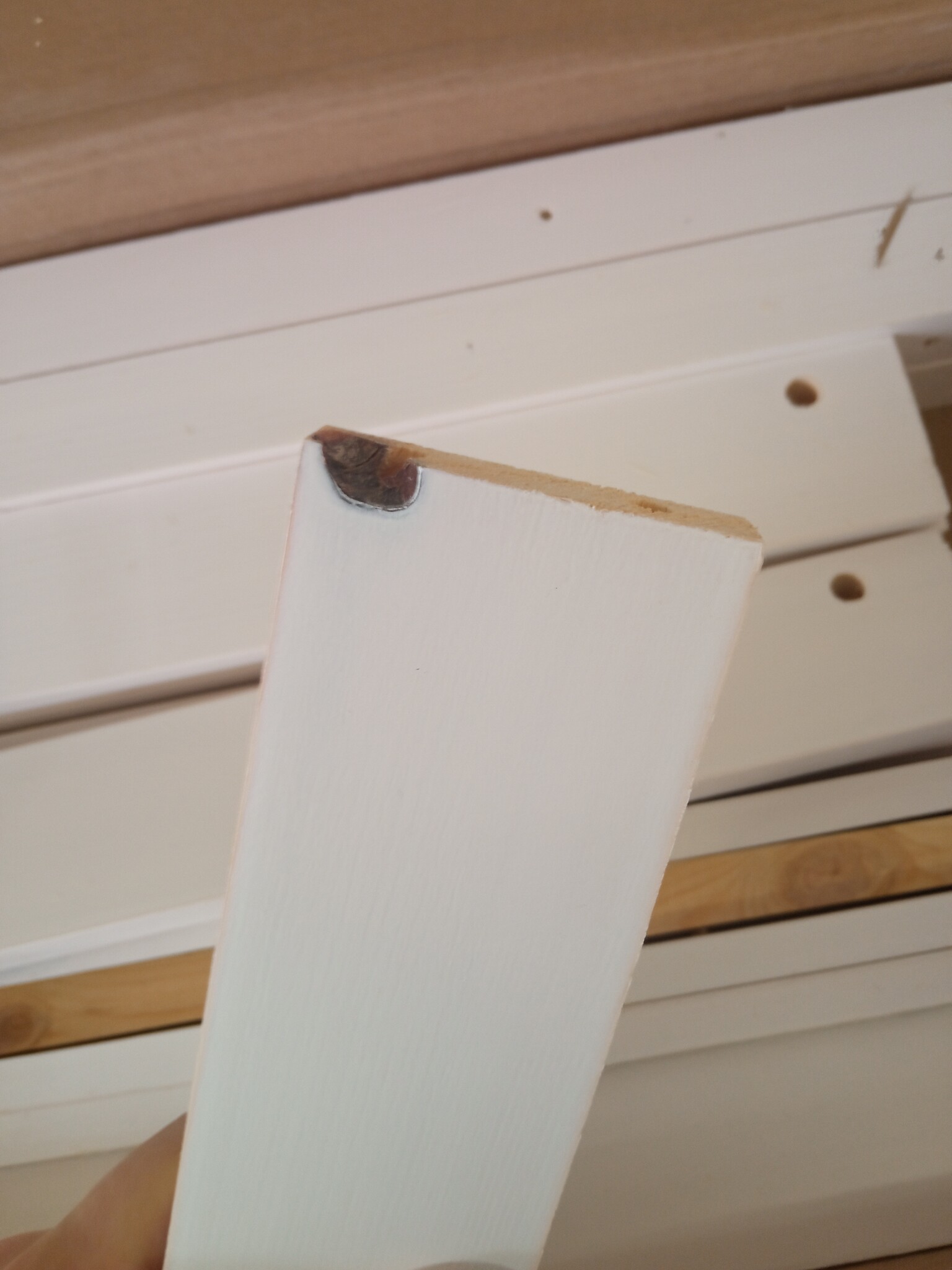 vidaXL Hondenmand Grenenhout Wit - 60% Korting!