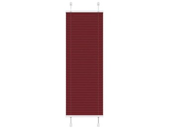 vidaXL Plissé Gordijn Bordeauxrood - 50x100cm | 35% Korting