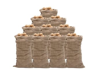 VidaXL Jutezakken (10 stuks) - 65x135 cm - Nu 35% Korting!