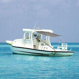 vidaXL T-top Schaduwdoek - 170x208x(115-183)cm Antraciet - 59% Korting!