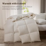 BPC Donsdekbed 135x200 cm - 30% Korting! Ganzendons & Biologisch Katoen