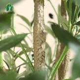 CROSOFMI Kunst Olijfboomplant 120cm - Nu 30% Korting!