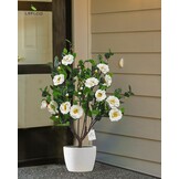 3ft Kunst Kamelia Boom - Wit, 40 Bloemen - 30% Korting!