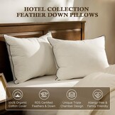 BPC 3-Laags Donskussen 60x60 cm - Set van 2 | 30% Korting