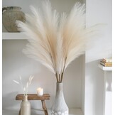 Kunst Pampasgras Beige 100cm Hoog - 30% Korting