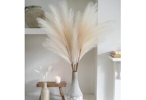 Kunst Pampasgras Beige 100cm Hoog - 30% Korting