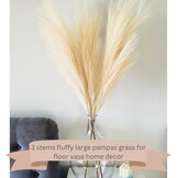 Kunst Pampasgras Beige 100cm Hoog - 30% Korting