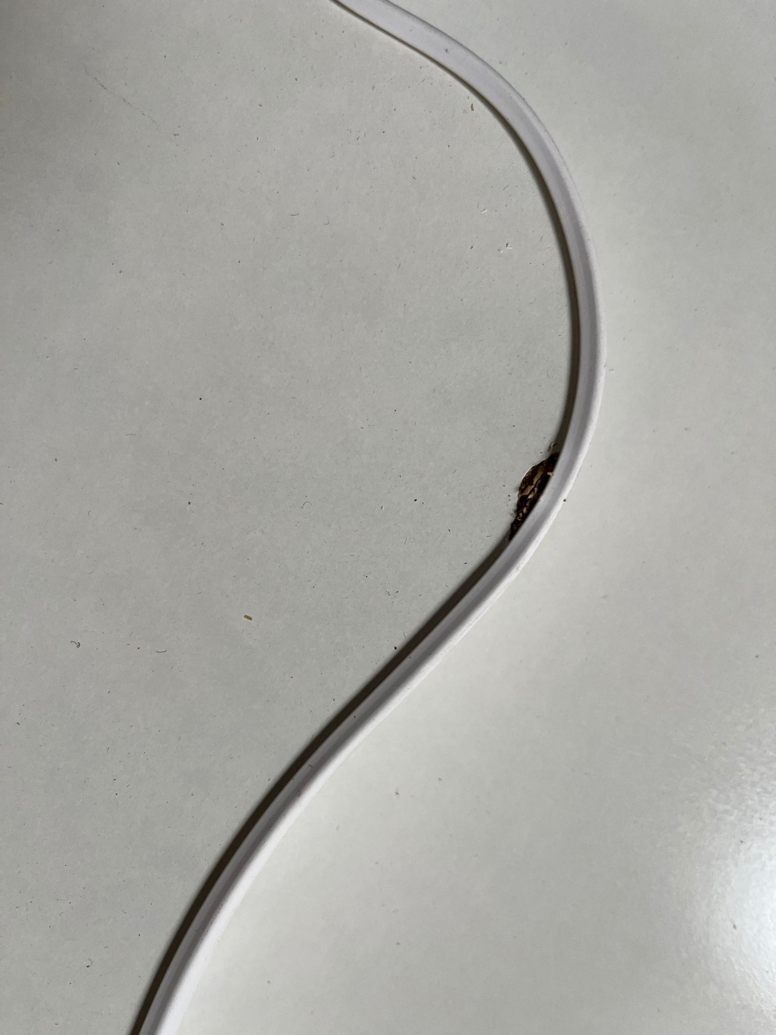 Kinderbed panda - met lade - 160x80cm - incl. matras