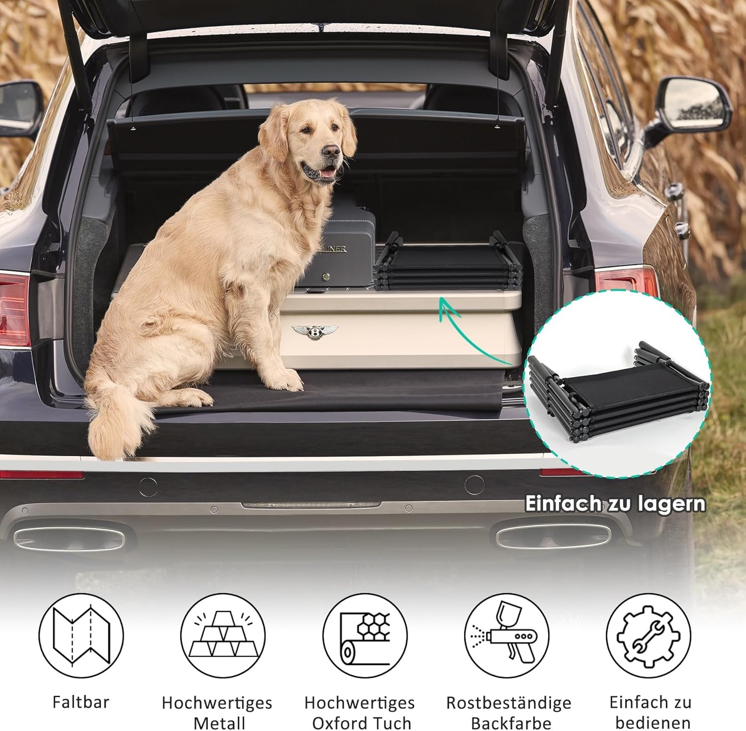 CALIYO Hondentrap, hondenhelling auto, inklapbaar, dierentrap voor grote en kleine honden, hondenladder met verstelbare treden, hondentrap inklapbaar en gemakkelijk op te bergen, hondentrap auto