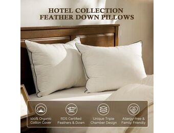 BPC Organic feather down pillows 80x80 Pack of 1 pcs, Luxurious 3-chamber hotel sleeping pillow, 80x80 cm down pillow with 100% cotton cover and goose down filling, White