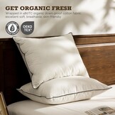 BPC Organic feather down pillows 80x80 Pack of 1 pcs, Luxurious 3-chamber hotel sleeping pillow, 80x80 cm down pillow with 100% cotton cover and goose down filling, White