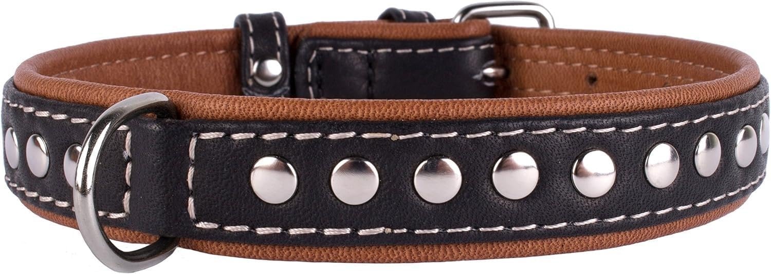 CollarDirect Studded Hondenriem Leer - 30% Korting - Zwart (20"-22")