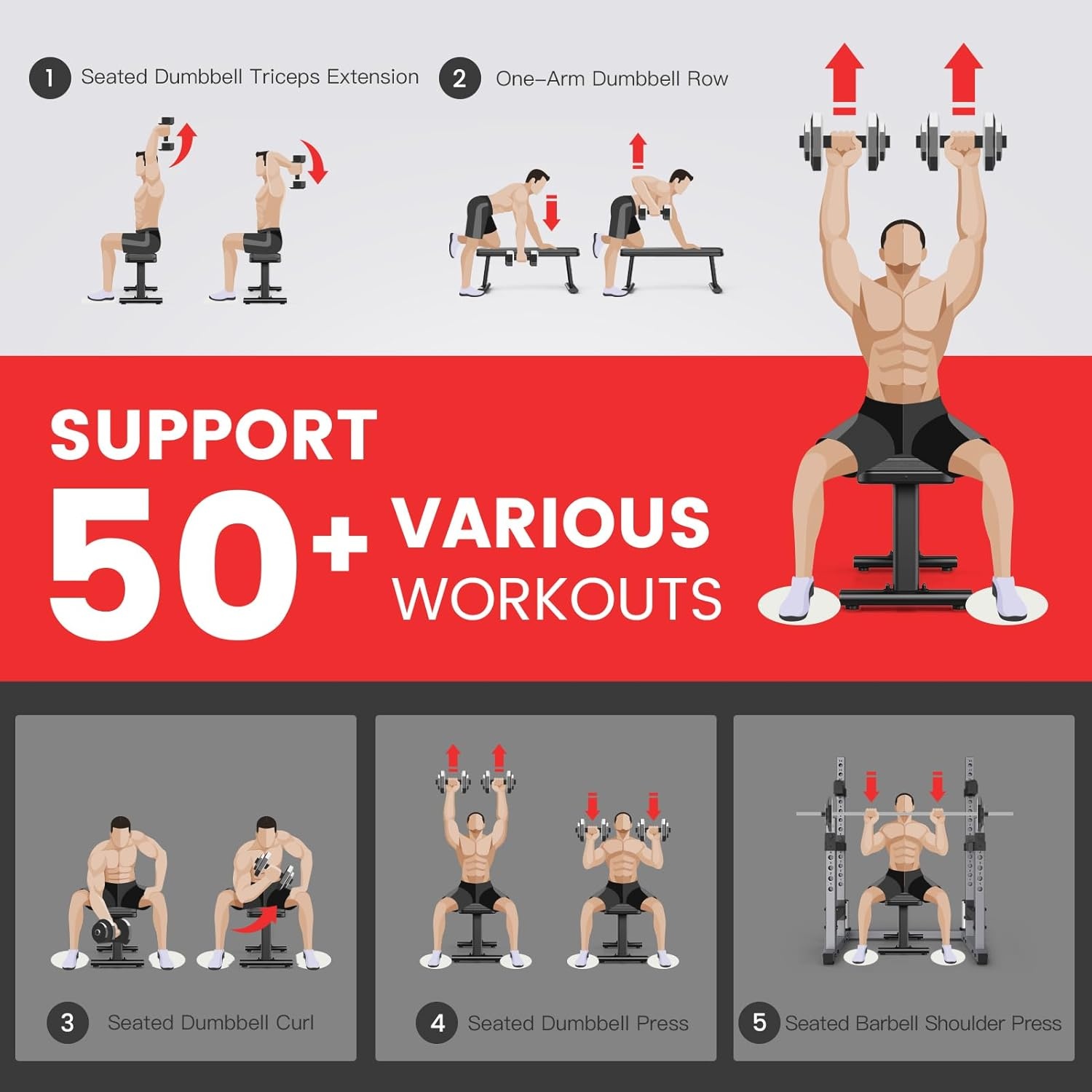 PASYOU PW100 Gewichtheffen Bank, Extreme Belastbaarheid 660 KG, Workout Bench Home Fitness Bench Voor Totale Lichaamstraining