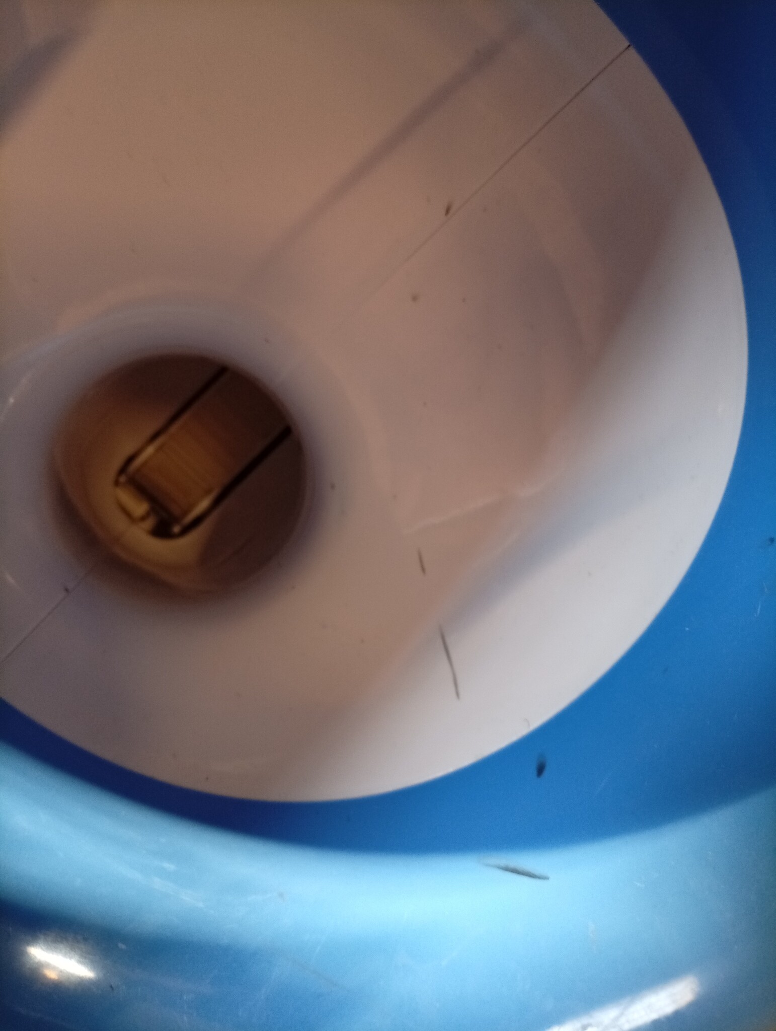 Pet Prime Automatic Ball Thrower, Dog Ball, Interactive Ball Throwing Machine, 3 Tennis Balls Included, for Small Dogs, Mini Style (White)