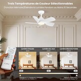 CJOY Ventilateur Plafond 76cm avec Lumières et Télécommande, Blanc Ventilateur de Plafond avec 5 Pales Réversibles, 3 Couleurs et Gradateur, 6 Vitesses, DC Réversible pour Chambre à Coucher, Salon