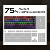 Newmen GM326 Mechanical Keyboard with Cable, Gaming Keyboard 75% Percentage, TKL Hot Swap LED Lights, USB C Mini Mechanical Keyboard with Button, for PC/Win/Mac, QWERTY Layout, Black, Red