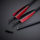 Huntingdoor 12x Schietpijlen met Vervangbare Broadhead - 30% Korting