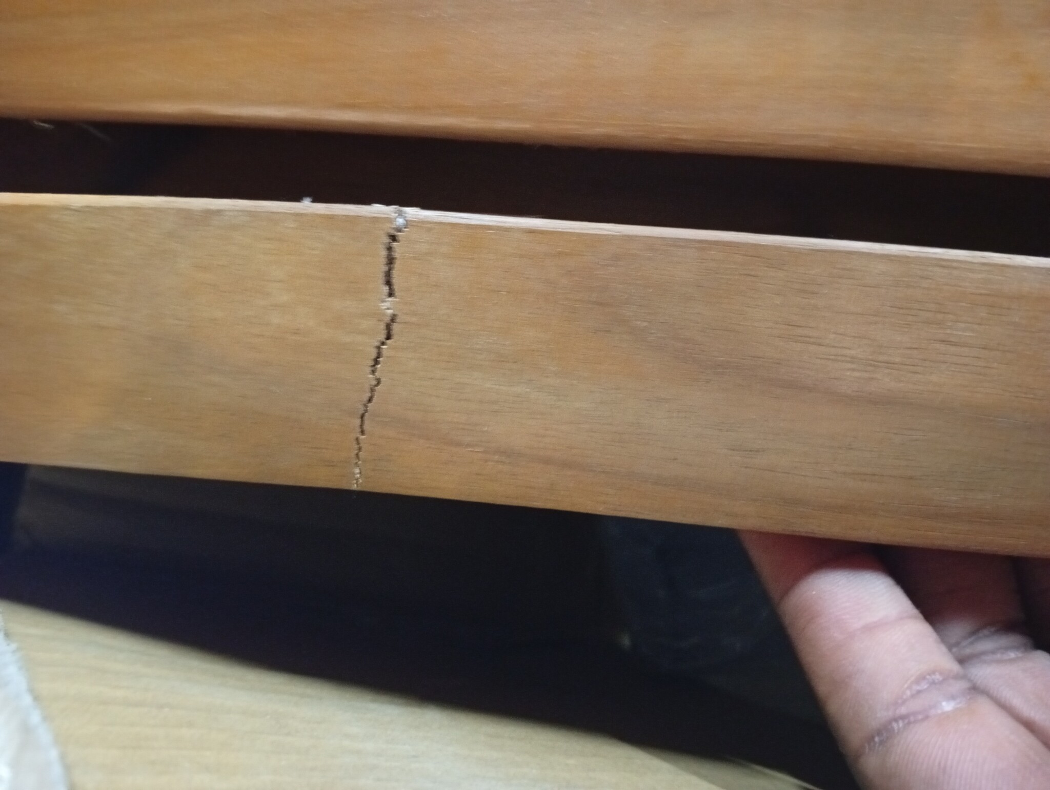 vidaXL Ligbed met kussen Lichtgrijs 184 x 55 x 64cm Massief acaciahout