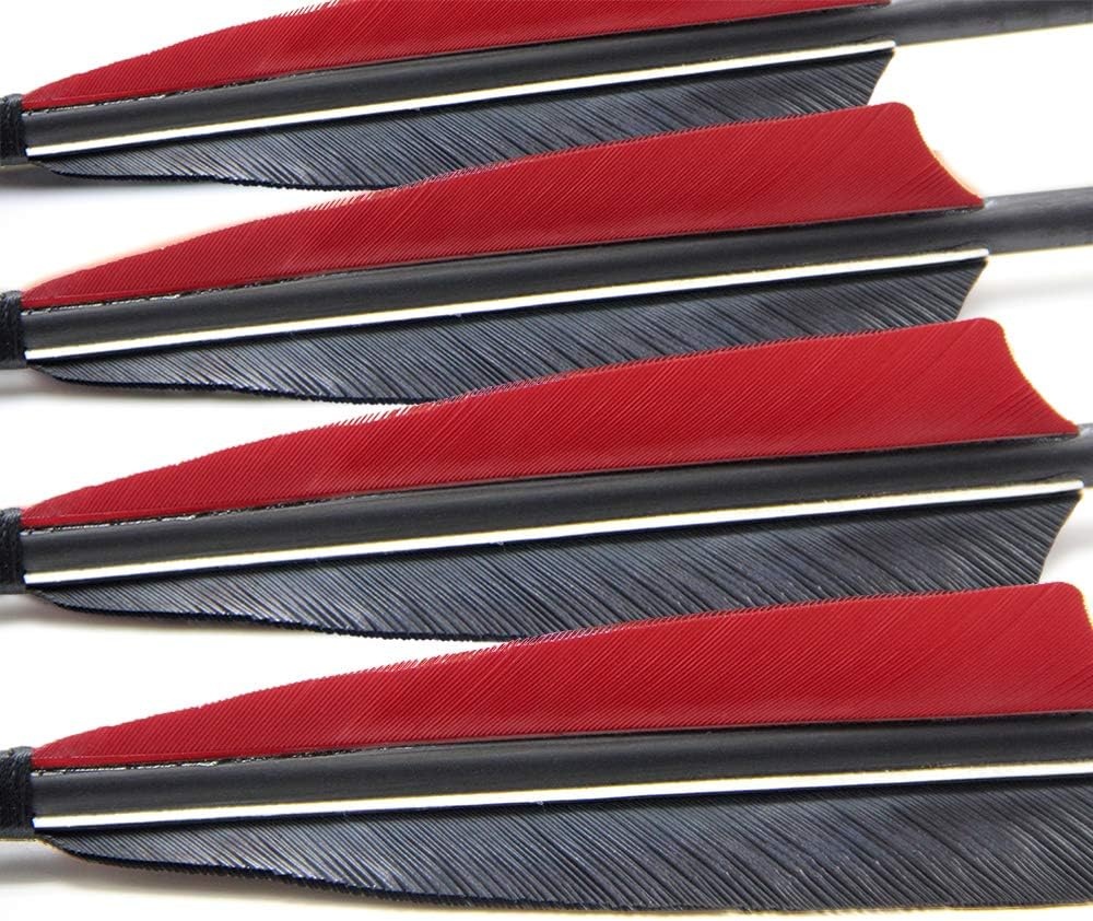 Narchery Carbon Jachtpijlen 31" - 12 Stuks | 30% Korting