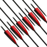 Narchery Carbon Jachtpijlen 31" - 12 Stuks | 30% Korting