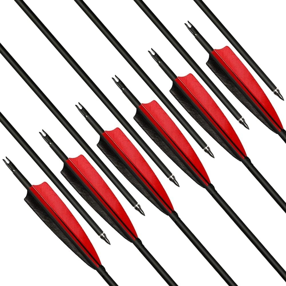 Narchery Carbon Jachtpijlen 31" - 12 Stuks | 30% Korting