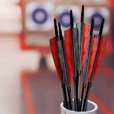 Narchery Carbon Jachtpijlen 31" - 12 Stuks | 30% Korting