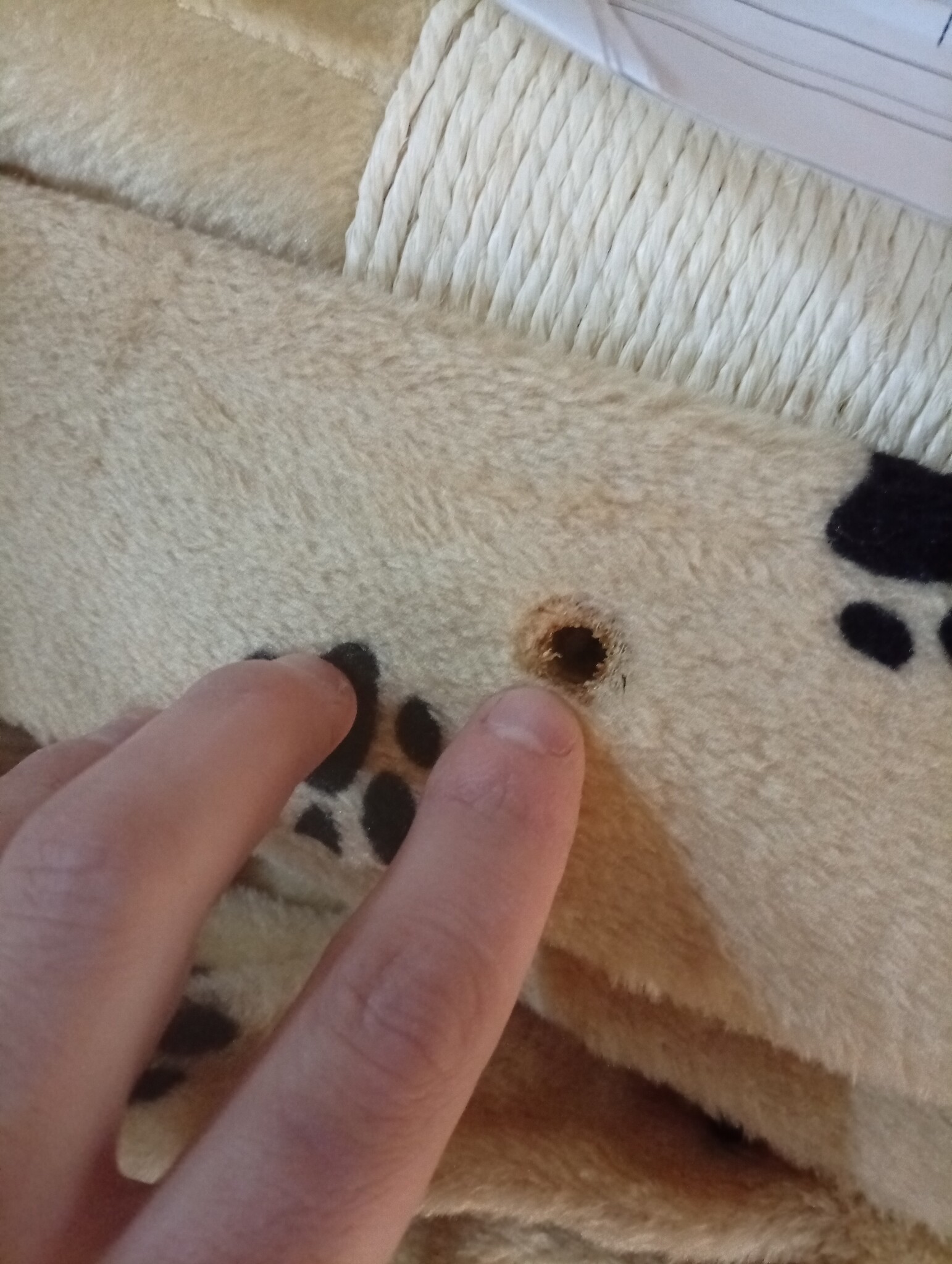 VidaXL Kattenkrabpaal 138cm Beige met Korting - 55% Off!