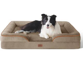 Bedsure Orthopedisch Hondenbed Ergonomische Hondenbank - 89x63 Cm Hondenbank Met Eivormig Kratschuim Voor Middelgrote Honden, Wasbare Antislip Hondenbedden, Hazelnootbruin