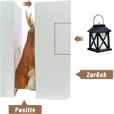 Geretourneerd Tuinfiguur Eland & Vrienden met Lantaarn - 30% Korting